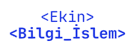 Ekin Bilgi İşlem